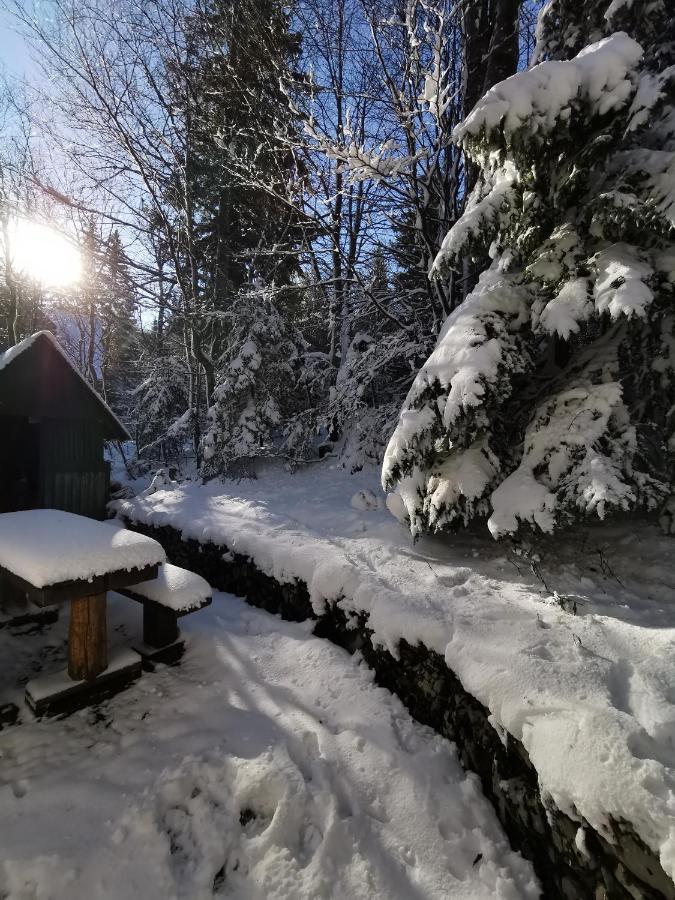 Koca Kresnica Villa Ilirska Bistrica ภายนอก รูปภาพ