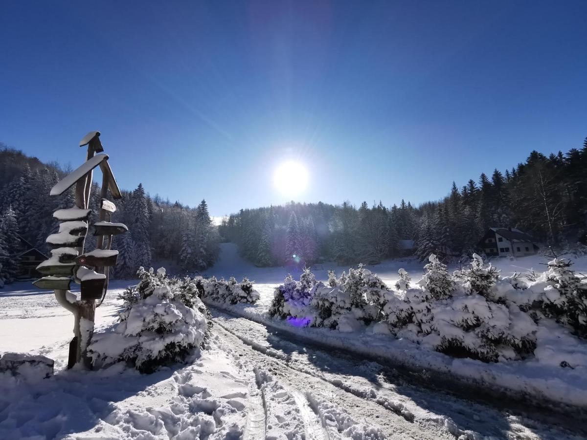 Koca Kresnica Villa Ilirska Bistrica ภายนอก รูปภาพ
