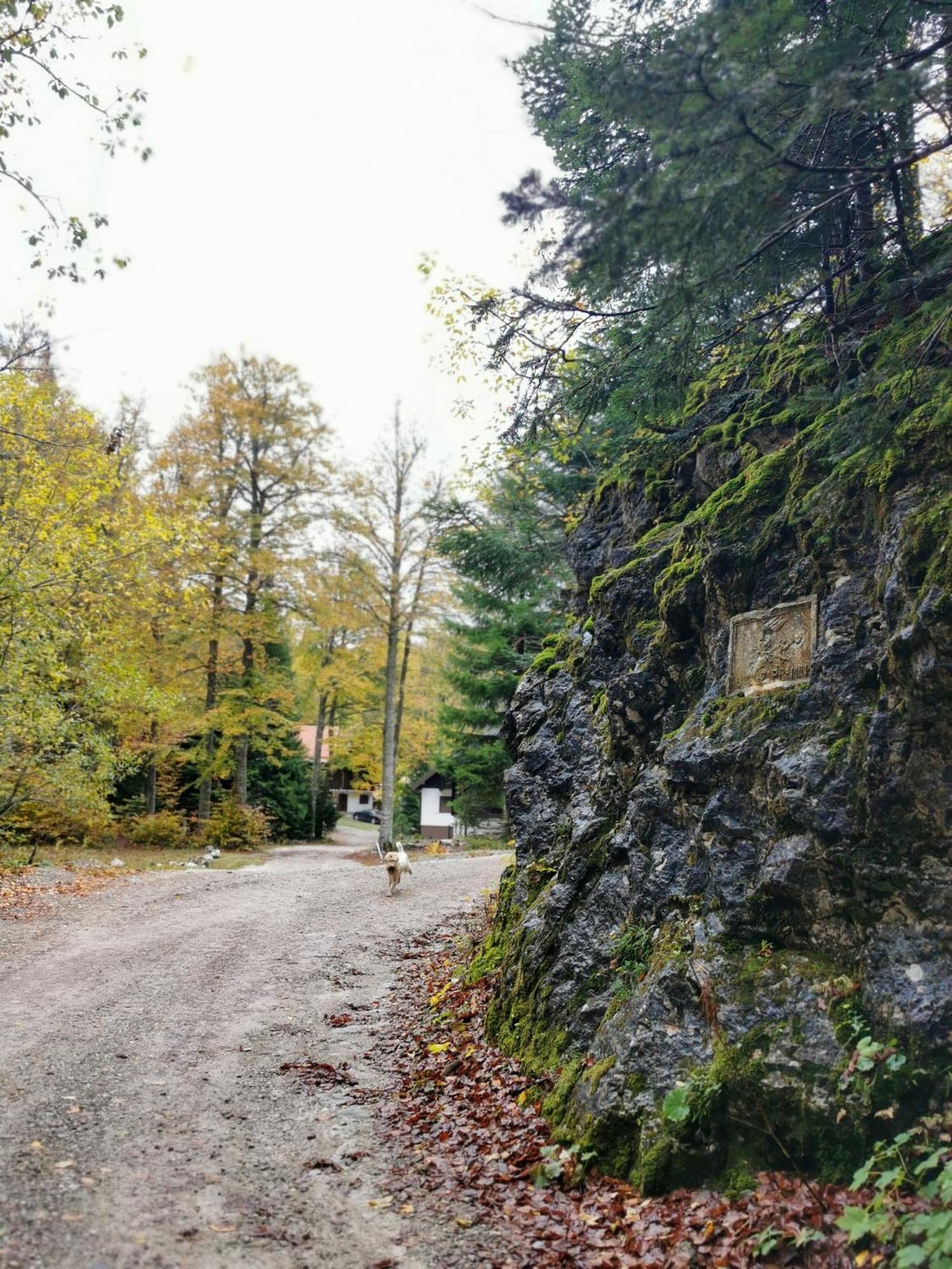 Koca Kresnica Villa Ilirska Bistrica ภายนอก รูปภาพ