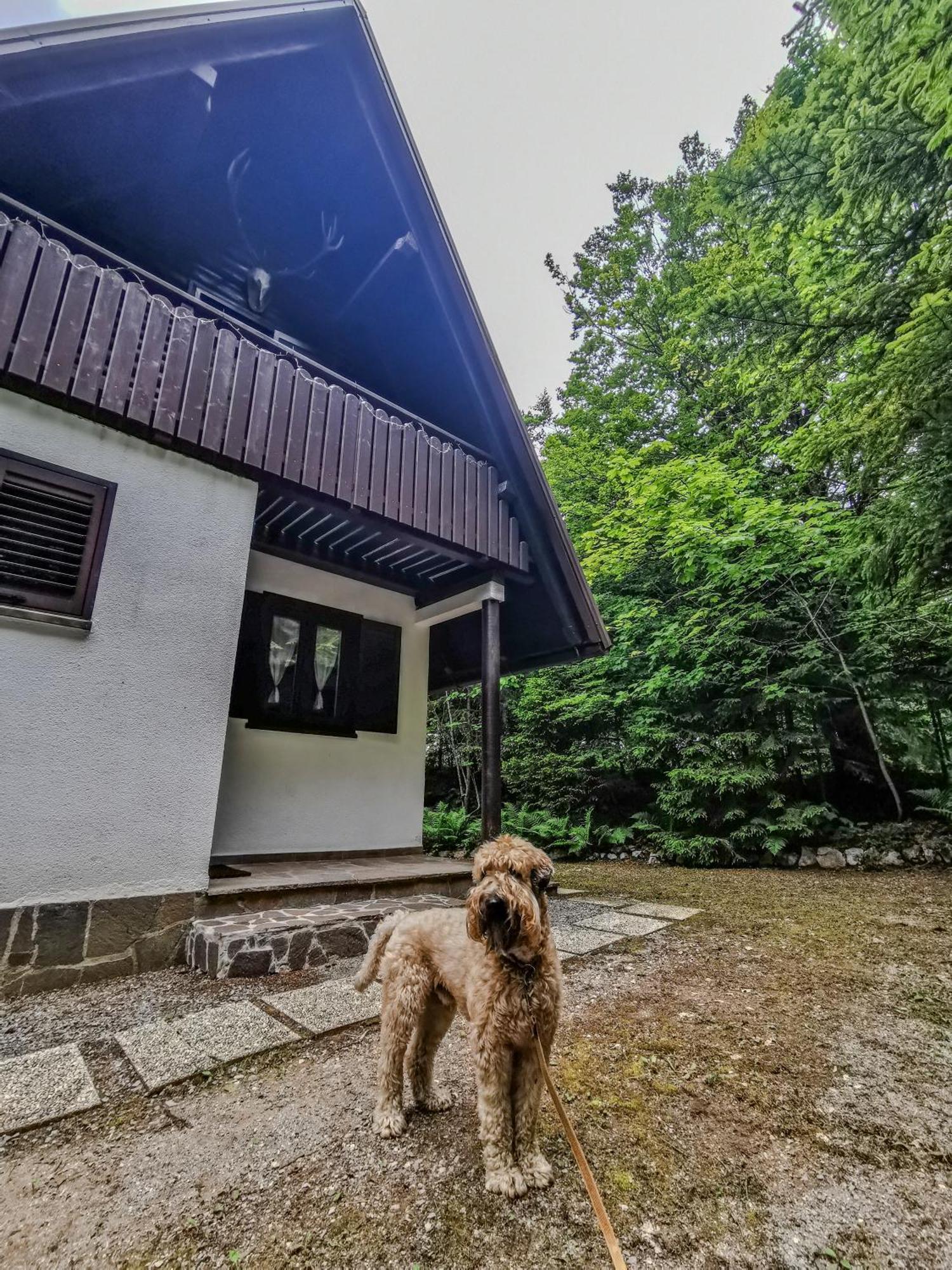 Koca Kresnica Villa Ilirska Bistrica ภายนอก รูปภาพ